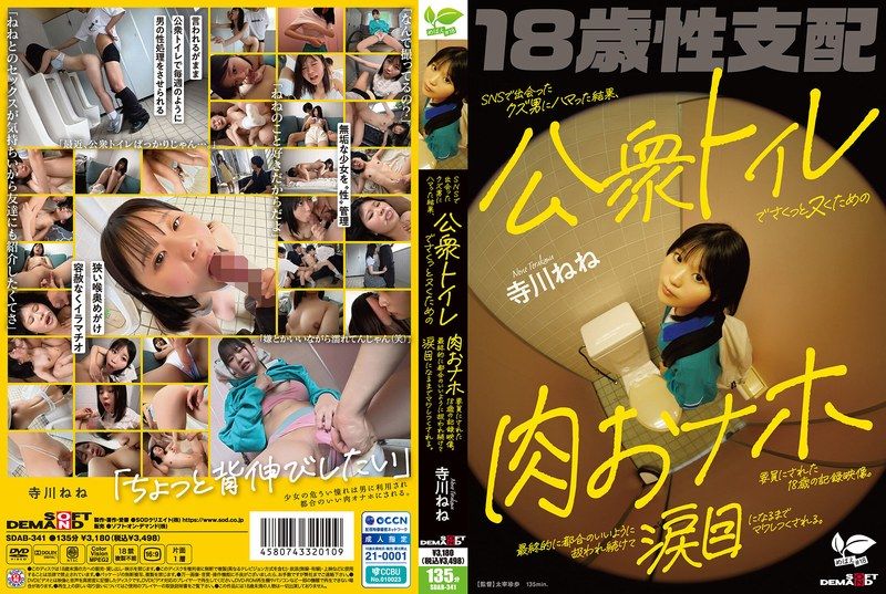 这是一段18岁的男子爱上SNS上认识的渣男，结果被制作成肉自慰剂，在公共卫生间快速射精的视频。最后，她继续受到她认为合适的对待，并受到骚扰，直到她热泪盈眶。寺川宁宁